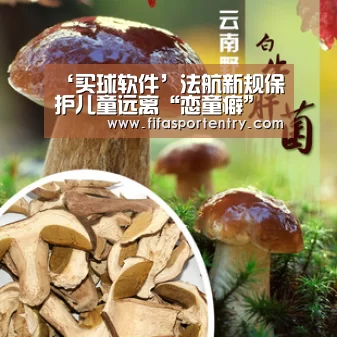 买球网官网
