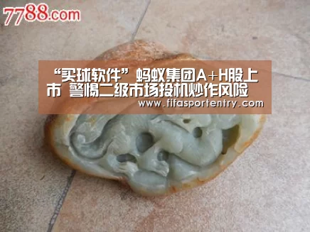 “买球软件”蚂蚁集团A+H股上市 警惕二级市场投机炒作风险(图1) 足球直播
