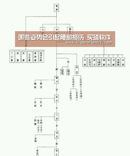 哪些姿势会引起腰部损伤_买球软件(图3) 足球直播