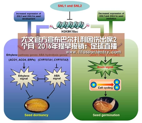 买球网官网