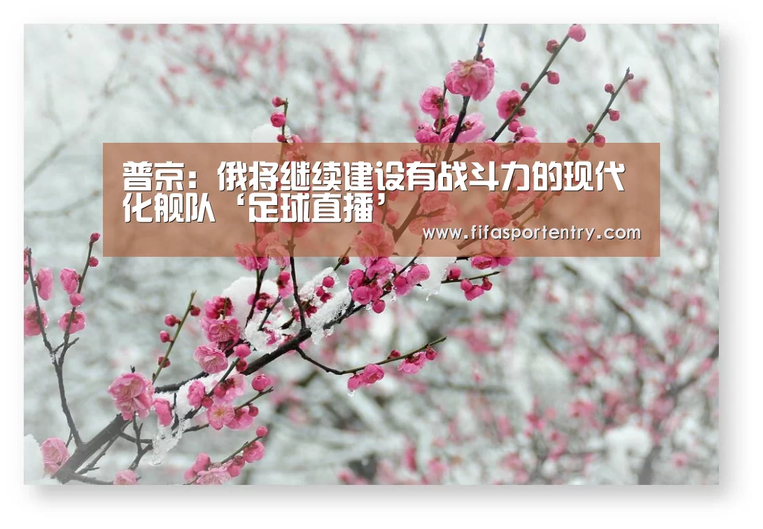 普京:俄将继续建设有战斗力的现代化舰队‘足球直播’(图2) 买球软件