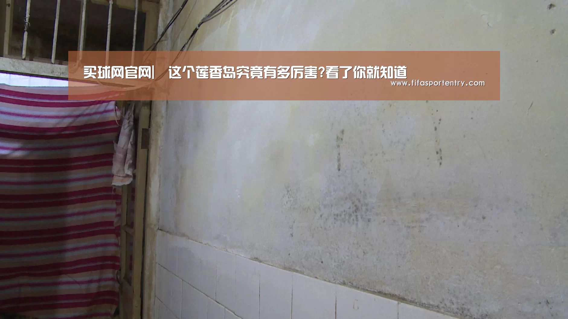 买球网官网
