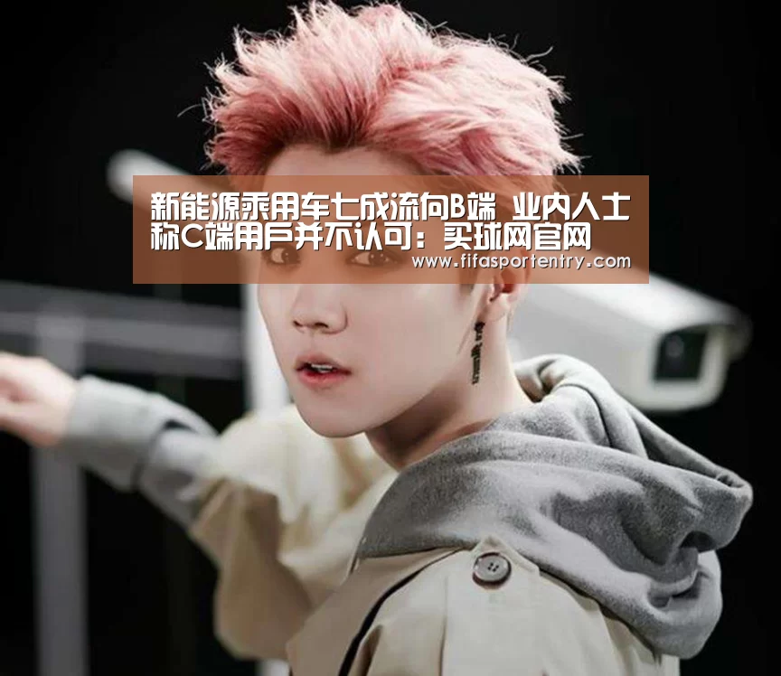 新能源乘用车七成流向B端 业内人士称C端用户并不认可:买球网官网(图4) 买球网官网