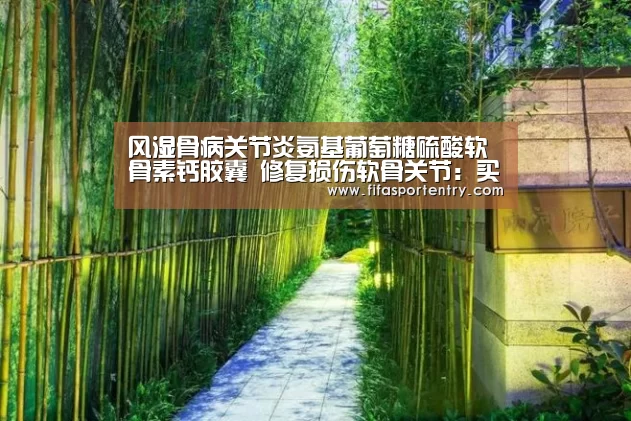 风湿骨病关节炎氨基葡萄糖硫酸软骨素钙胶囊 修复损伤软骨关节:买球网官网(图1) 买球网