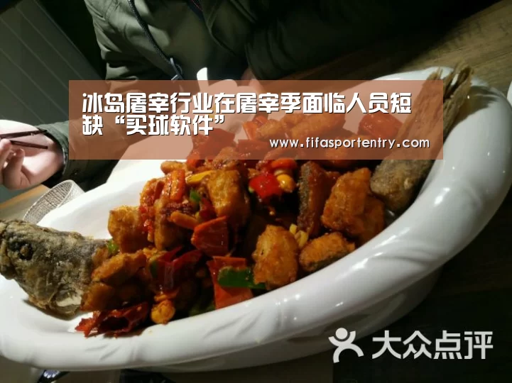 冰岛屠宰行业在屠宰季面临人员短缺“买球软件”(图1) 买球软件