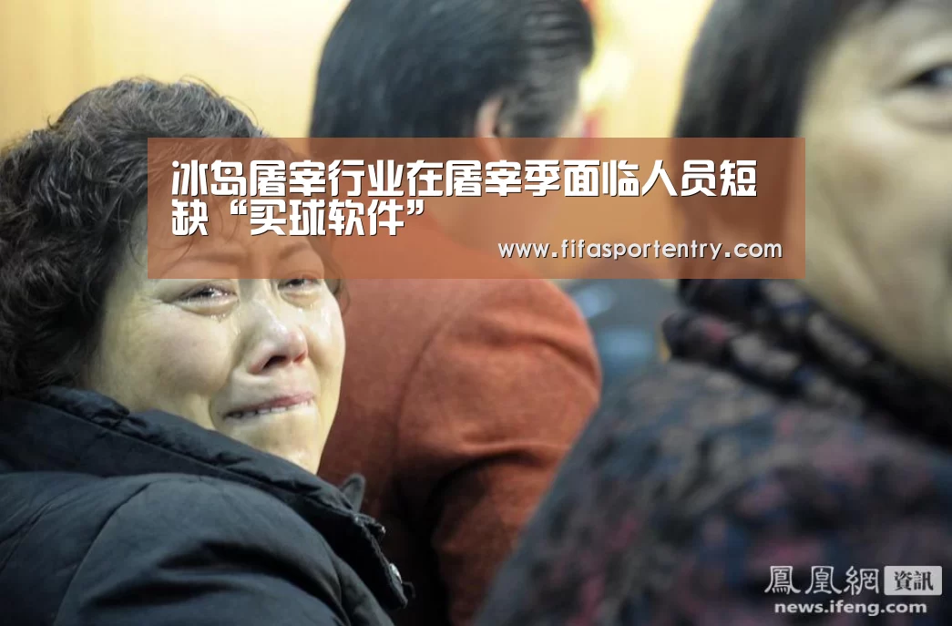 冰岛屠宰行业在屠宰季面临人员短缺“买球软件”(图2) 买球网